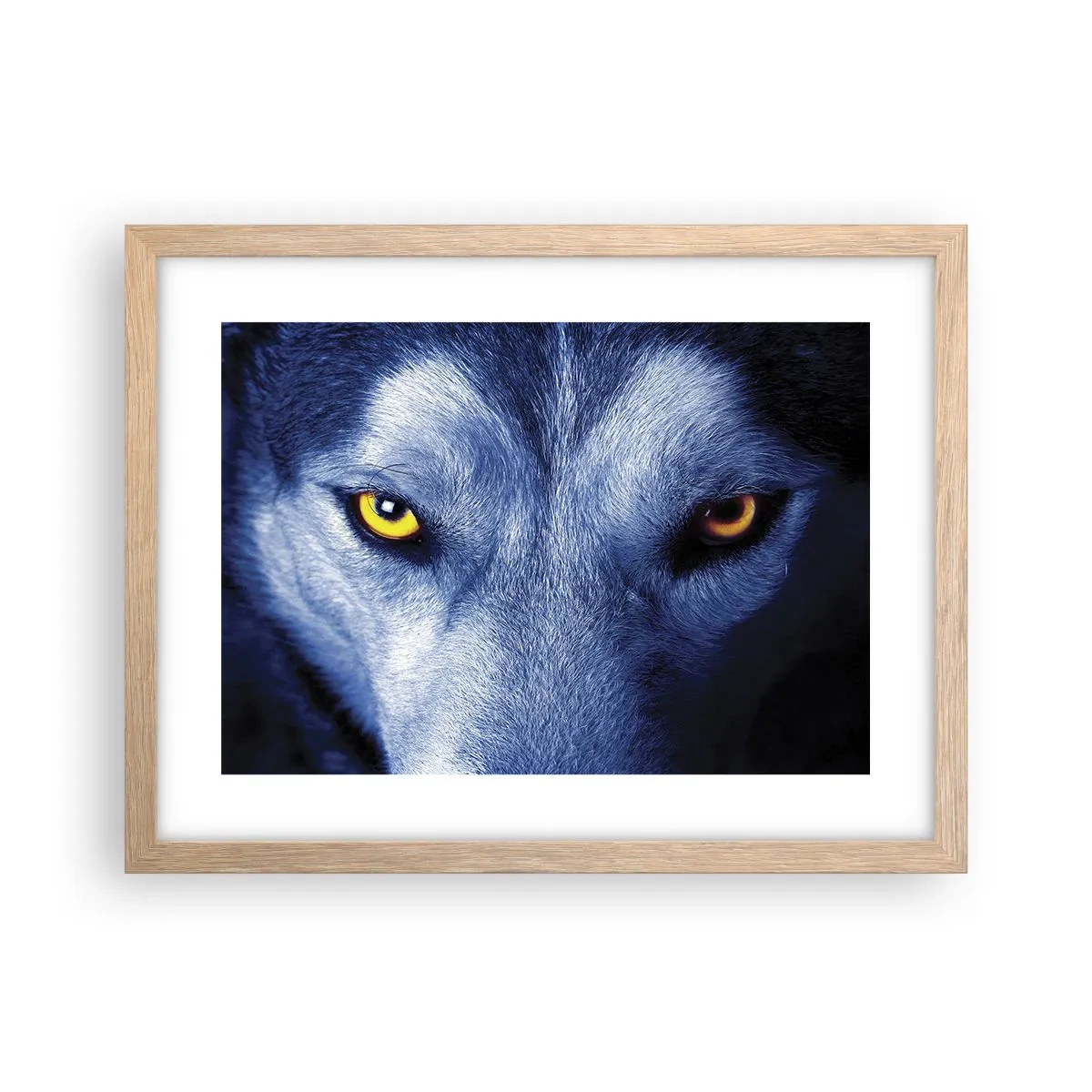 Affisch i ram av ljusek - Hypnotiserade titt - 40x30 cm