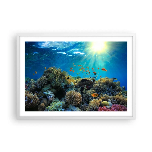 Affisch i vit ram - Undervatenskatter - 70x50 cm