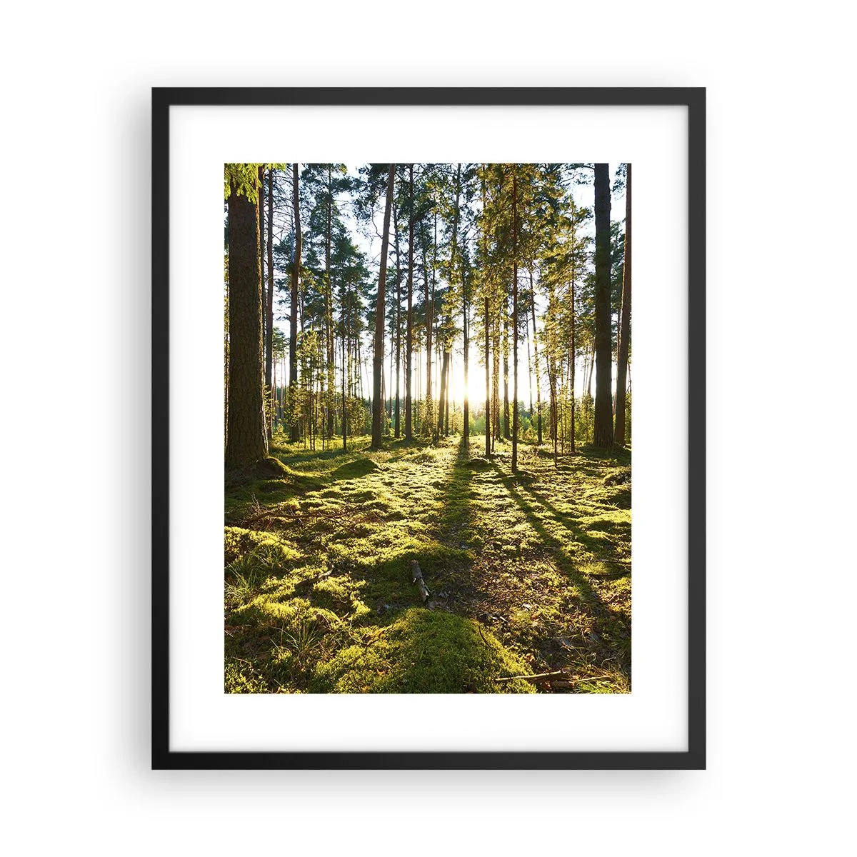 Affisch i svart ram - ...Bortom sjunde skogen - 40x50 cm