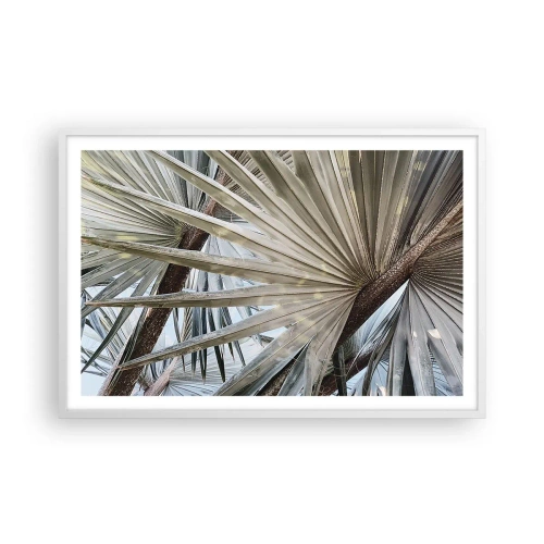 Affisch i vit ram - Solfjädrarna i tropikerna - 91x61 cm