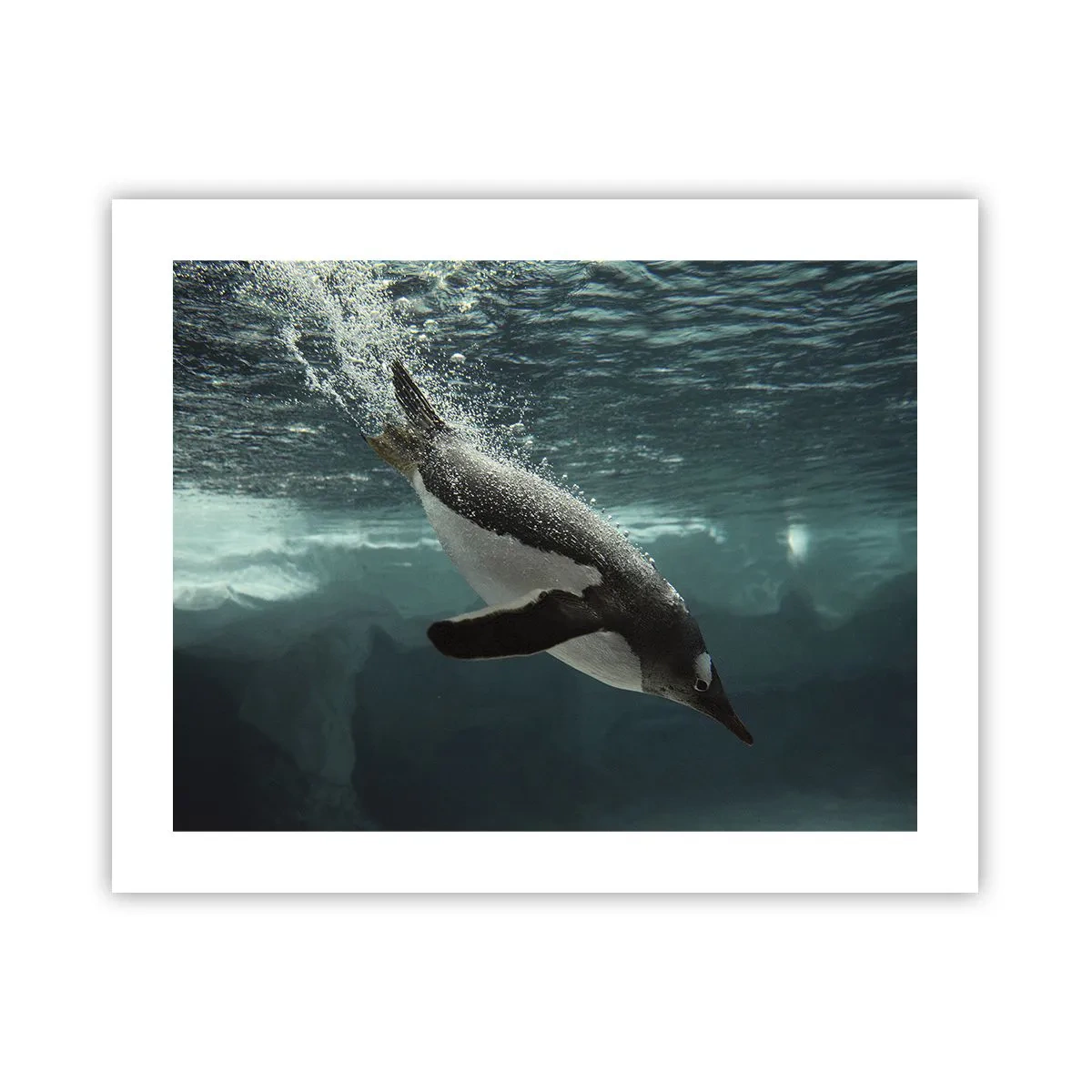 Affisch - Välkommen till min värld - 50x40 cm