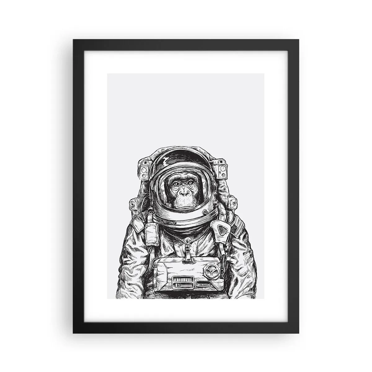 Affisch i svart ram - Alternativ evolution - 30x40 cm