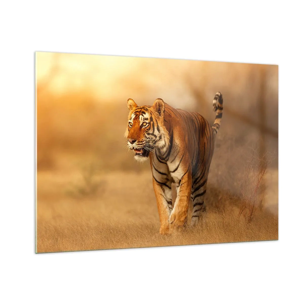 Glastavla - Bild på glas - Före attack - 100x70 cm