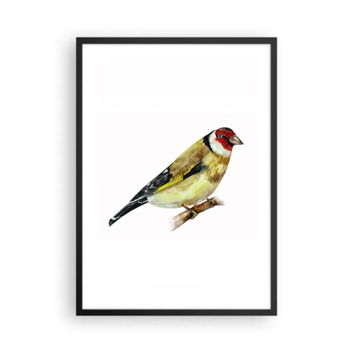 Affisch i svart ram - Steglitsch på en gren i akvarellstil - 50x70cm - Fågelporträtt - Modern väggdekoration för vardagsrum och sovrum ARTTOR