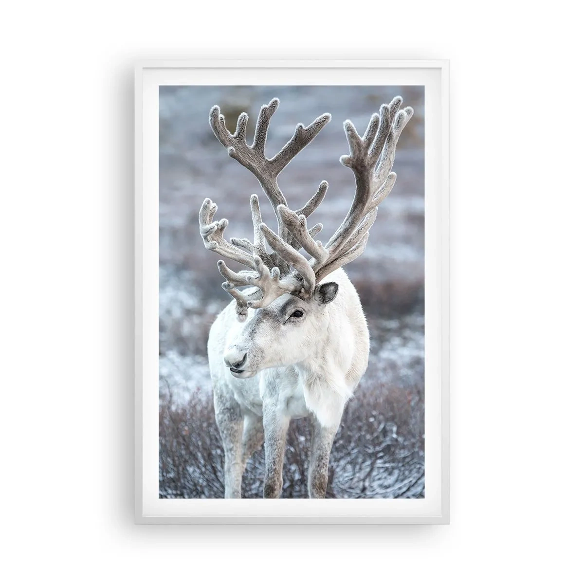 Affisch i vit ram - Porträtt i solsken - 61x91 cm