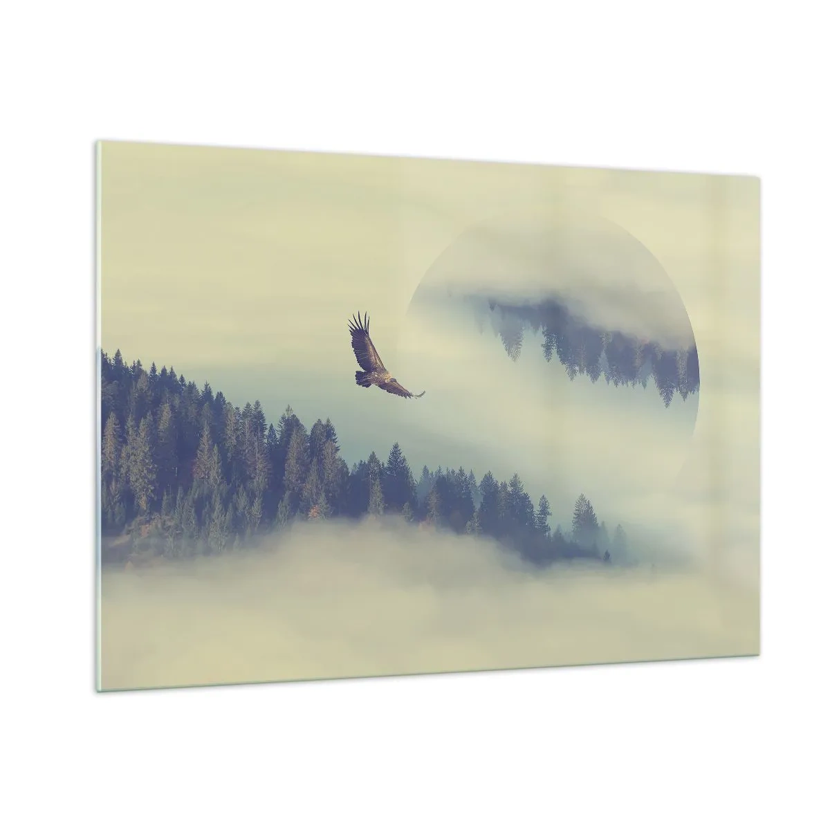Glastavla - Bild på glas - Örnens skugga - 100x70 cm