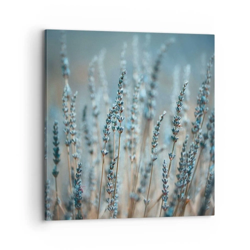 Canvastavla - Bild på duk - Doftande åkermark - 70x70 cm