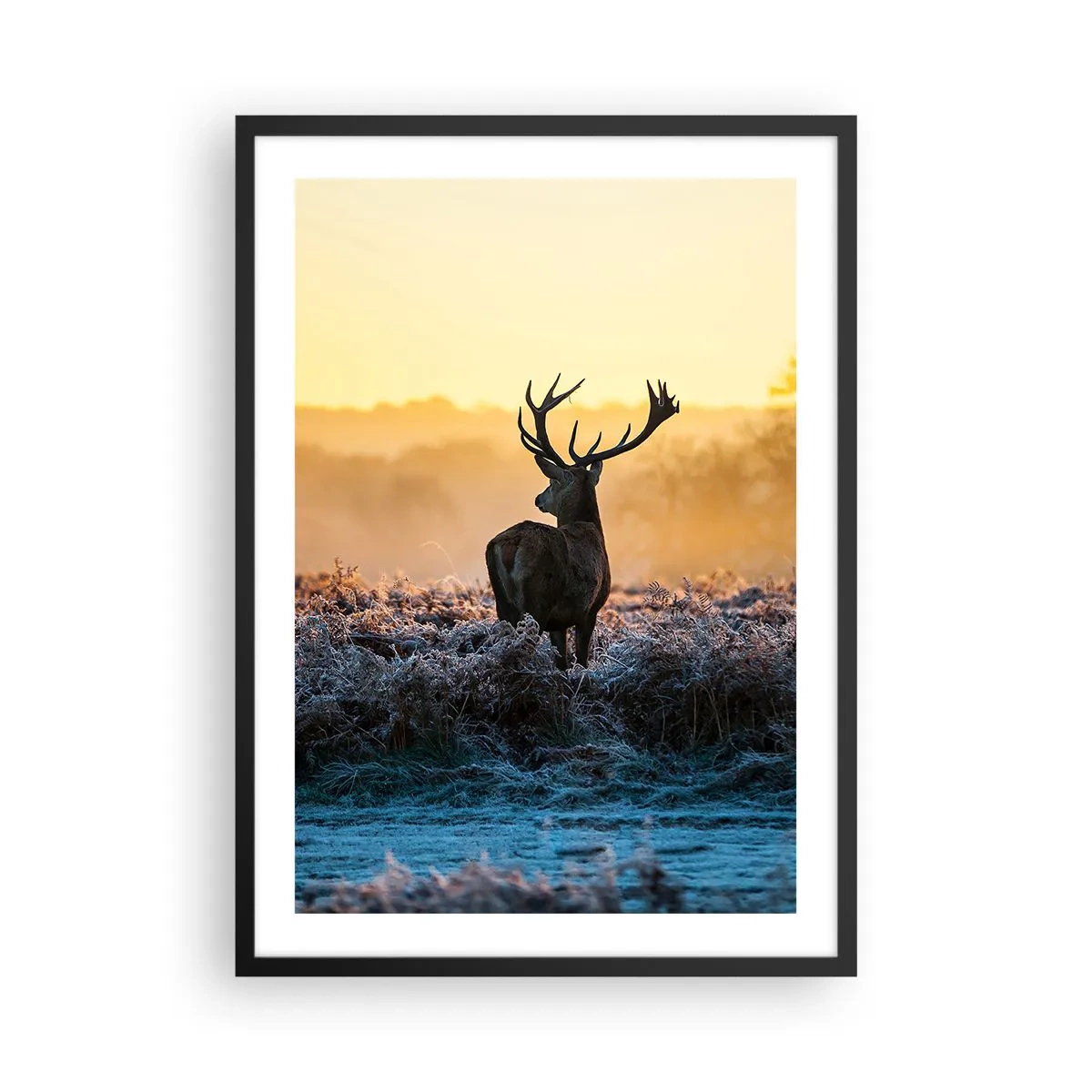 Affisch i svart ram - En hjort i en frostig glänta vid soluppgången - 50x70cm - Krönt på sin mark - Modern väggdekoration för vardagsrum och sovrum ARTTOR