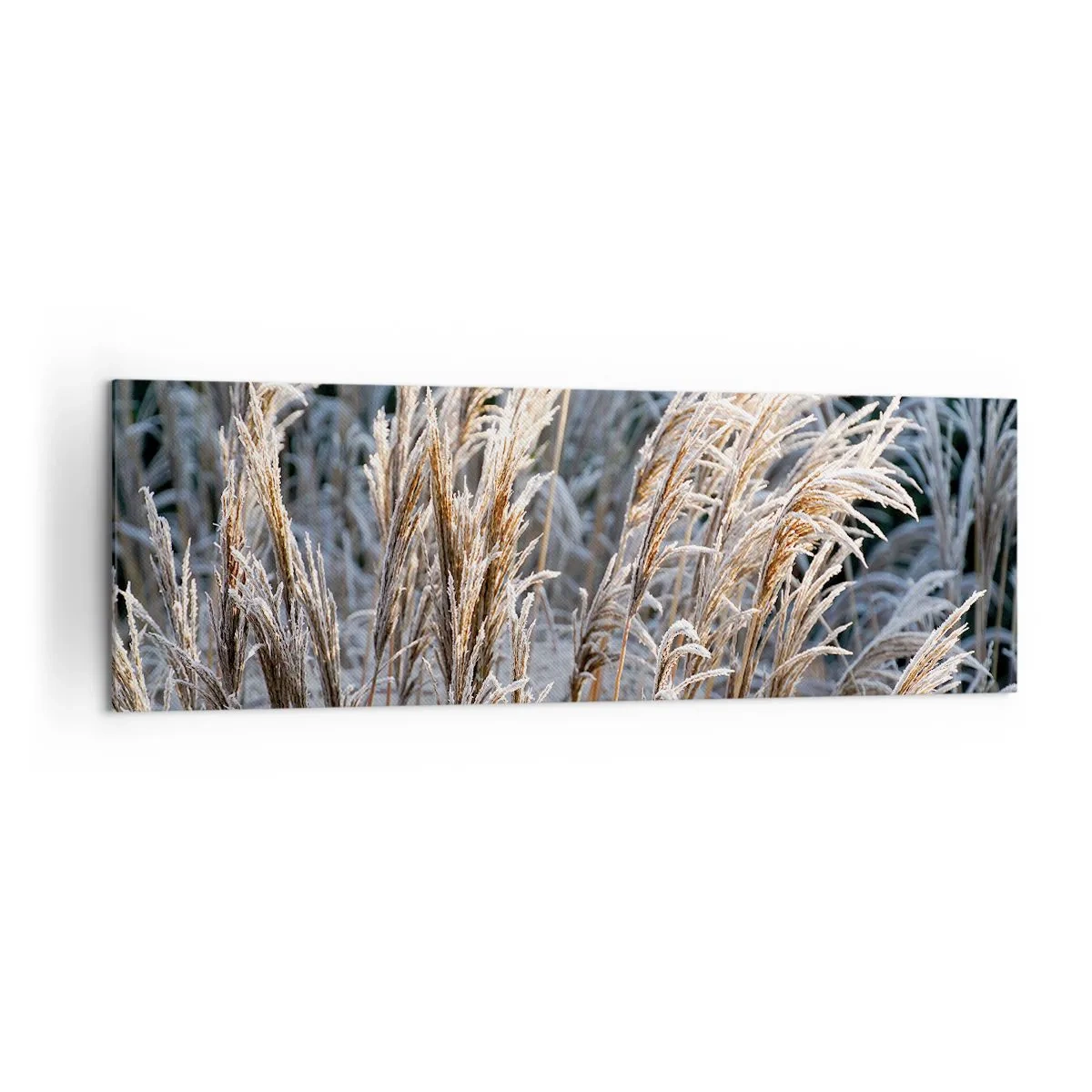 Canvastavla - Bild på duk - Frostprydda - 160x50 cm