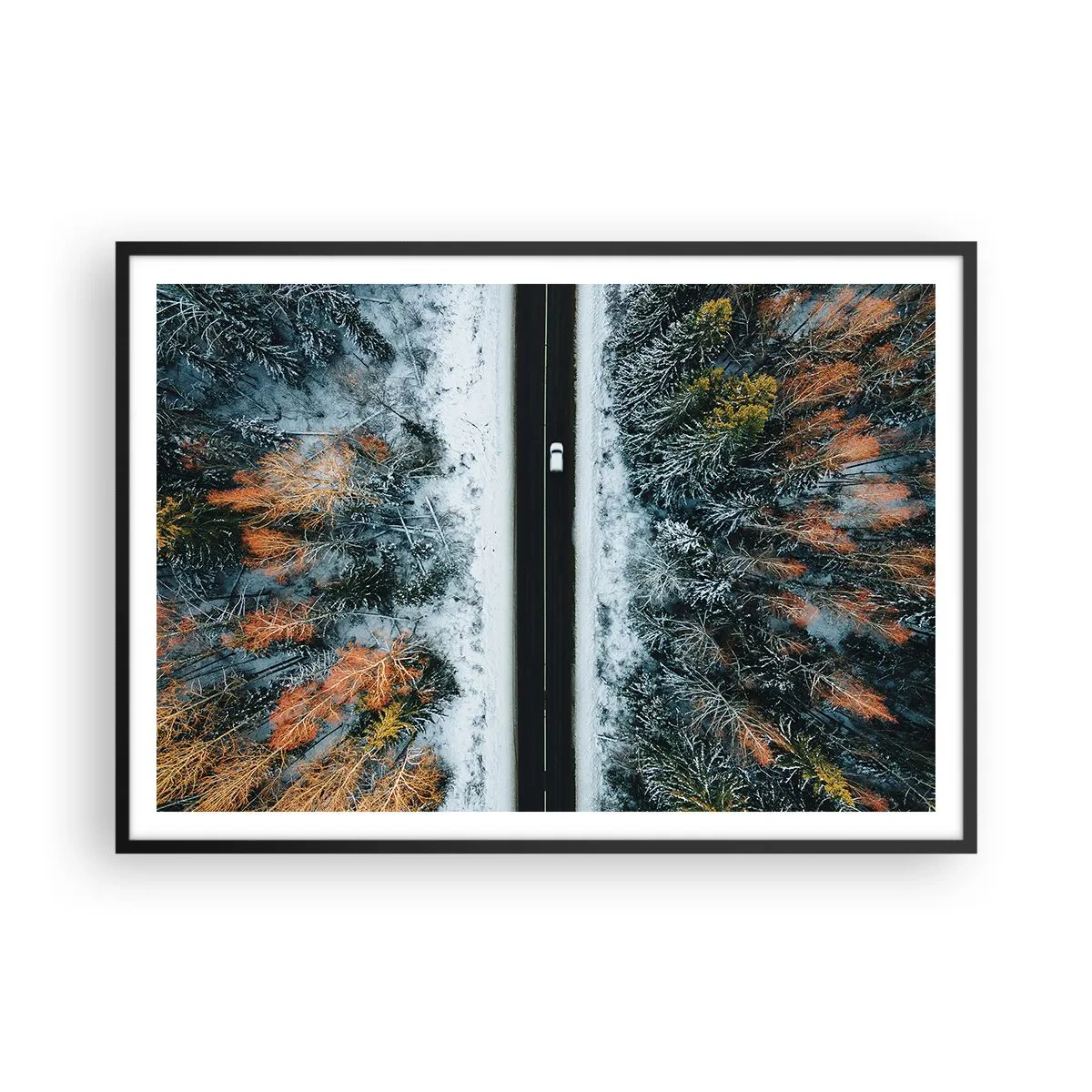 Affisch i svart ram - Genom vinterskogen - 100x70 cm