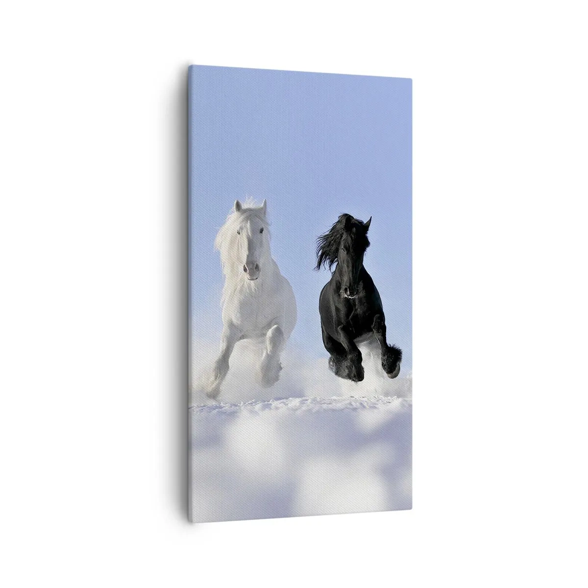 Canvastavla - Bild på duk - Svart-vit galopp - 55x100 cm