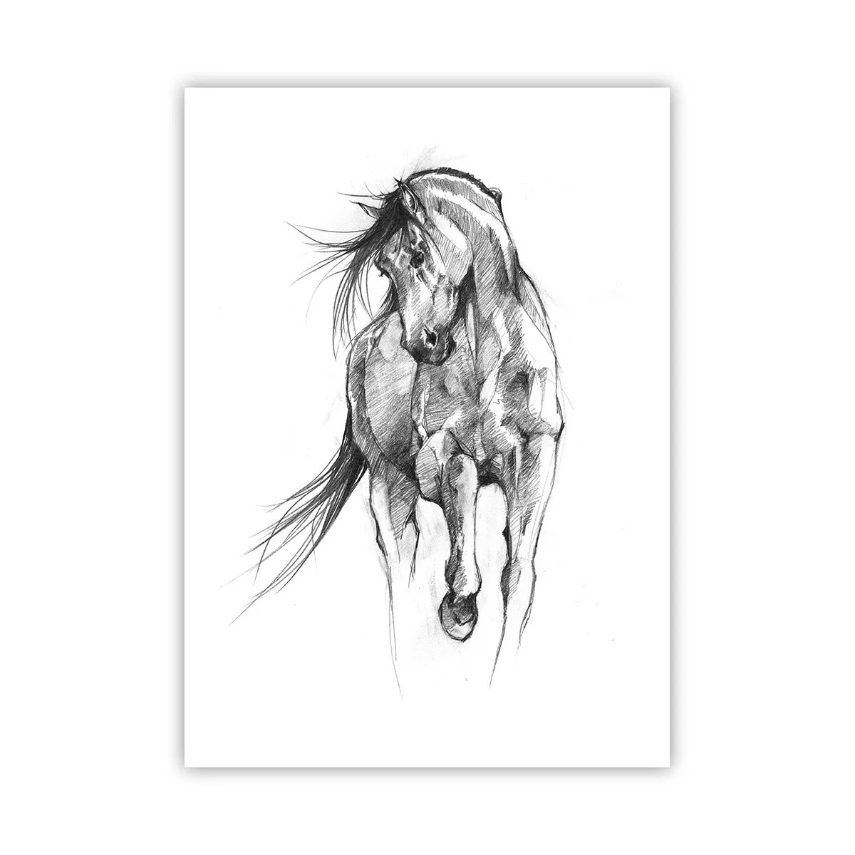 Affisch - Elegant trav - 50x70 cm