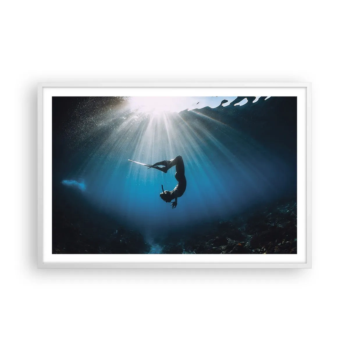Affisch i vit ram - Undervattendans - 91x61 cm