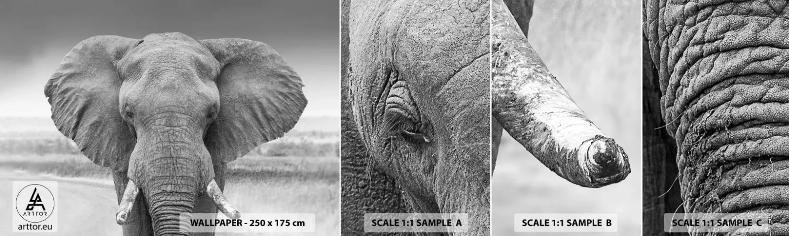 Fototapet Prov Standard Eco - Välkommen till min värld - Elefant, Afrika, Djur - 100x30 cm