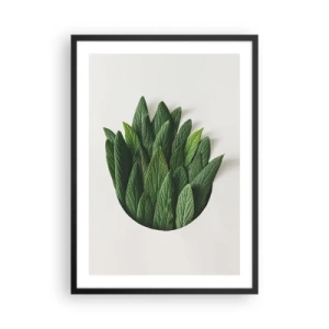 Affisch i svart ram - Löv i en konstnärlig komposition på en vit bakgrund - 50x70cm - Ostoppbar nyfikenhet - Modern väggdekoration för vardagsrum och sovrum ARTTOR