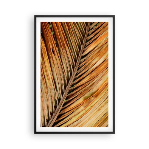 Affisch i svart ram - Kokosguld - 61x91 cm