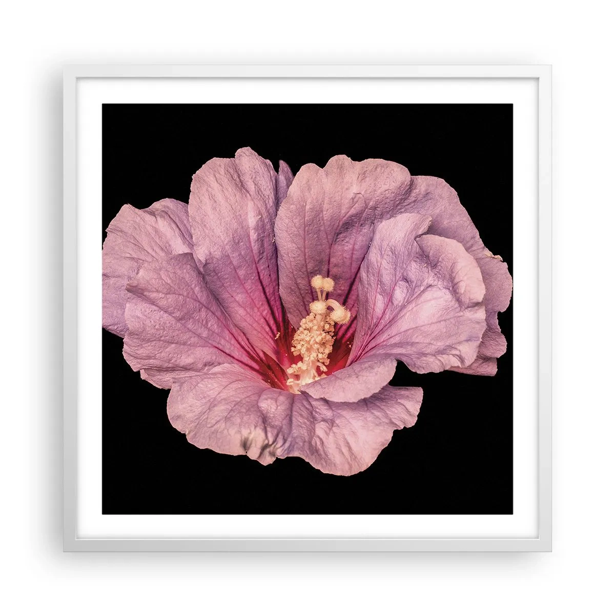 Affisch i vit ram - Rakt till hjärtat - 60x60 cm