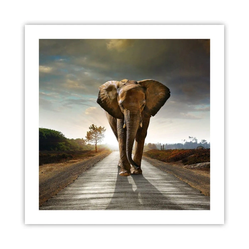 Affisch - Inte alls i en porslinsbutik - 50x50 cm