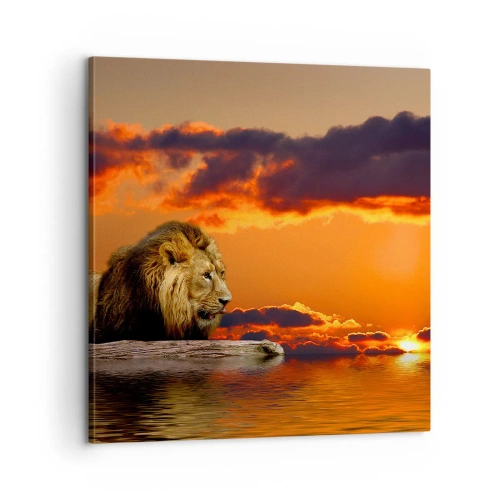Canvastavla - Bild på duk - Naturens kung - 60x60 cm
