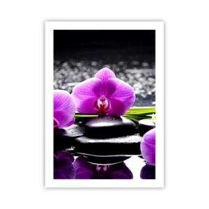 Affisch - Drunkna i tystnad och lugn - 50x70 cm