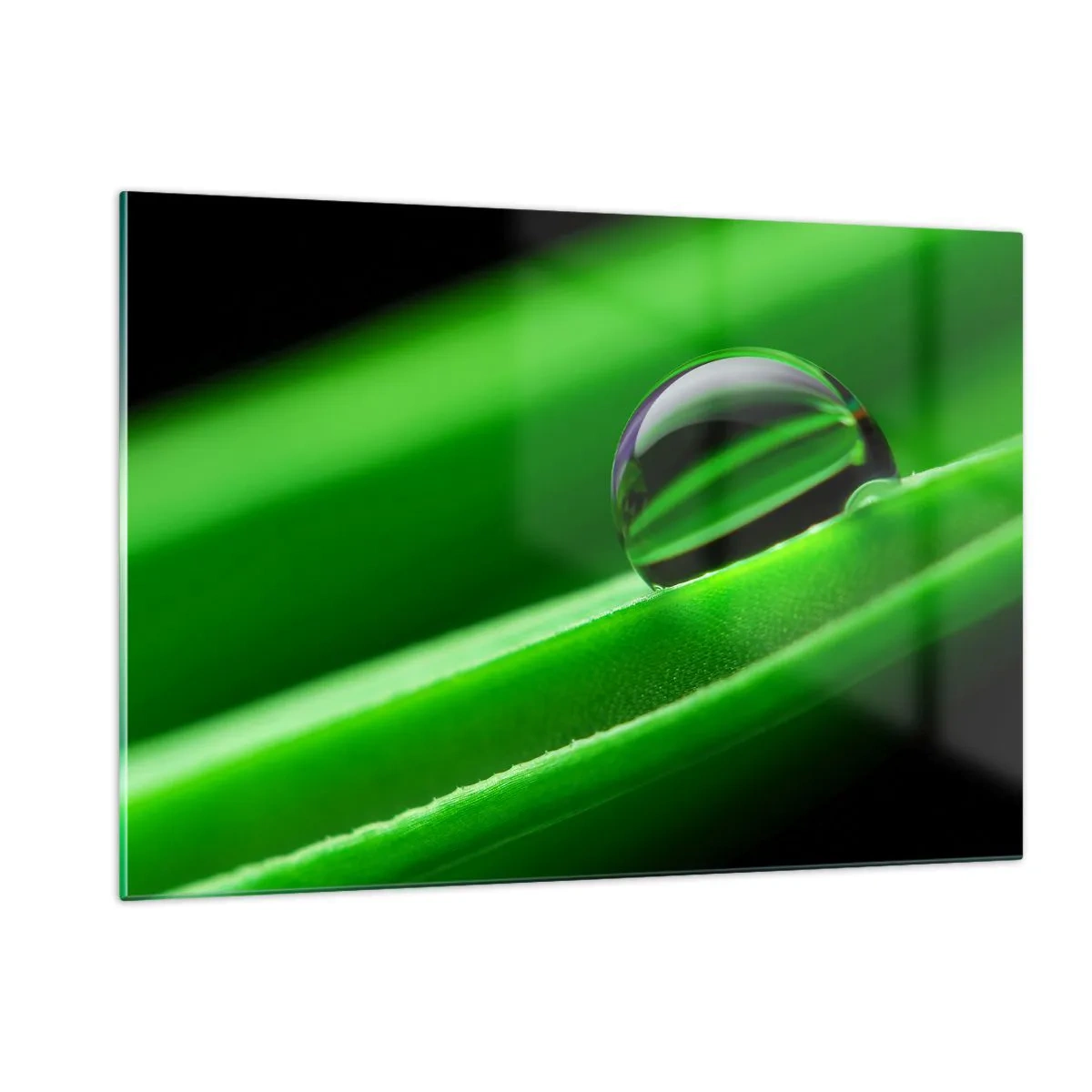 Glastavla - Bild på glas - Livet på nära håll - 120x80 cm