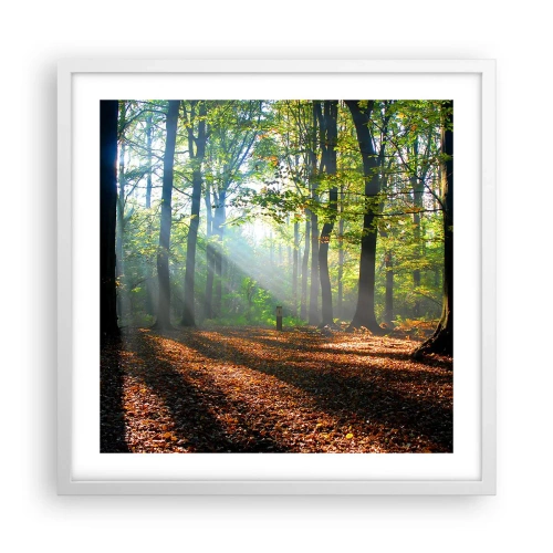 Affisch i vit ram - Sken-och skuggspel - 50x50 cm