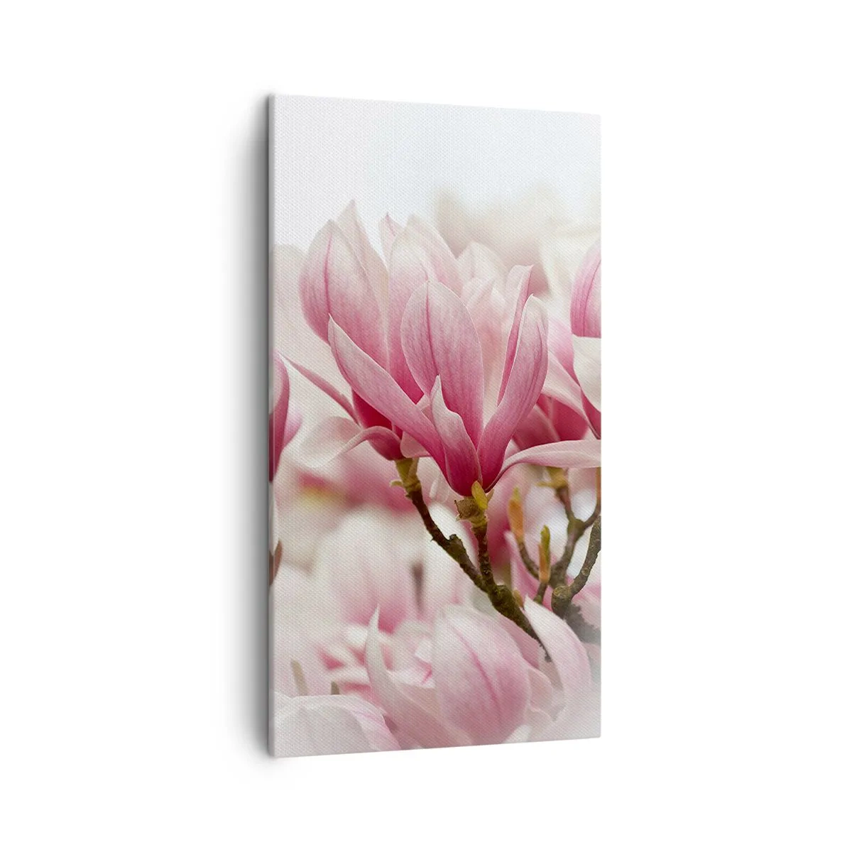 Canvastavla - Bild på duk - Vårblommor - 45x80 cm