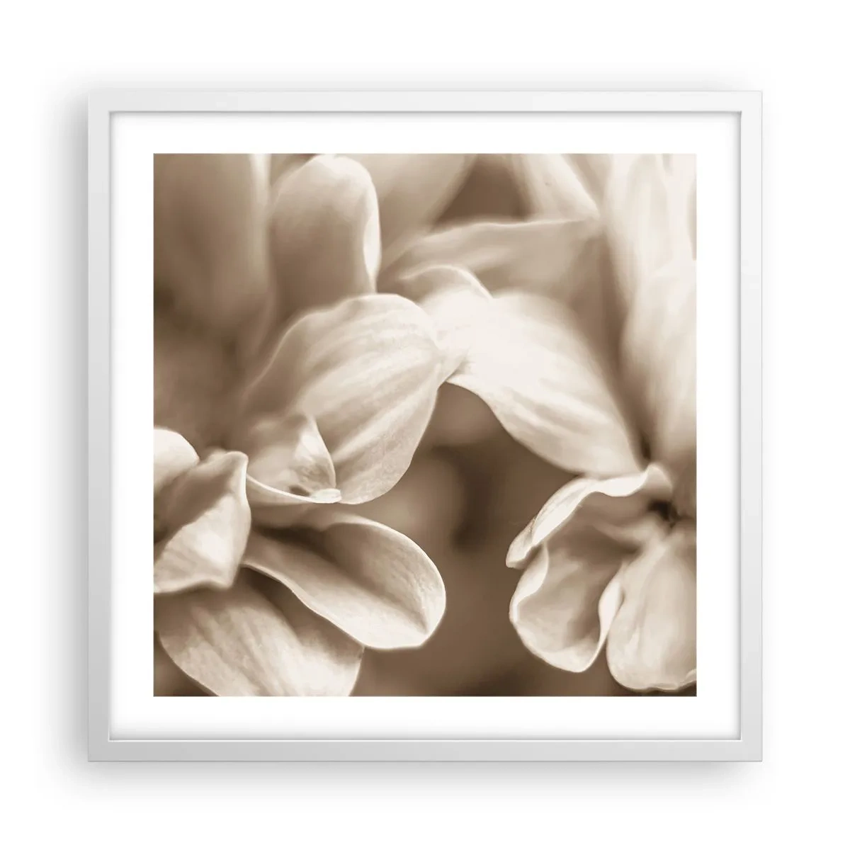 Affisch i vit ram - Milda som ett leende - 50x50 cm