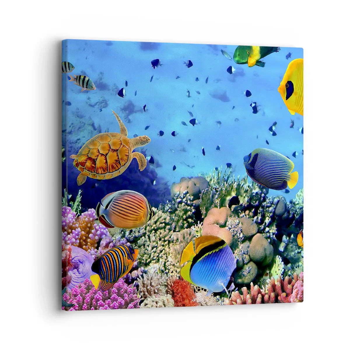 Canvastavla - Bild på duk - Vad vet vi om livet... - 30x30 cm