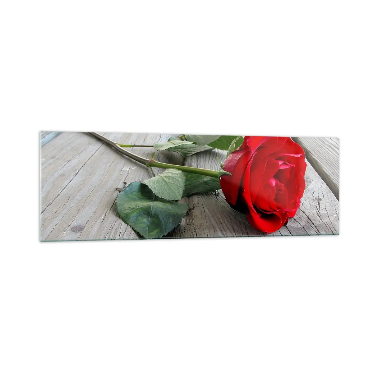 Glastavla - Bild på glas - En studie i scharlakansröd - 160x50 cm