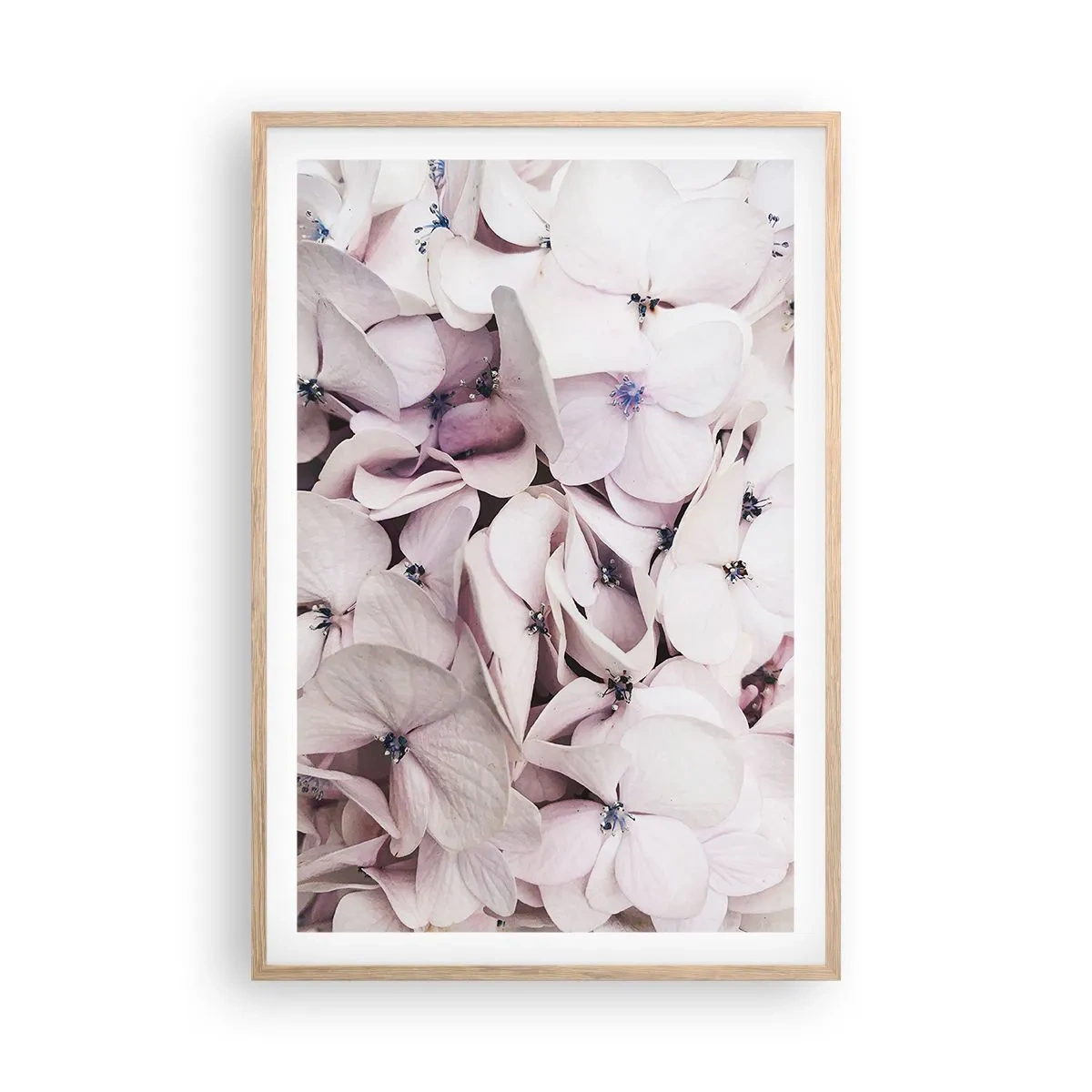 Affisch i ram av ljusek - I en flod av blommor - 61x91 cm