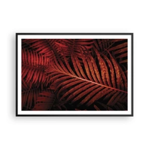 Affisch i svart ram - Livets glöd - 100x70 cm