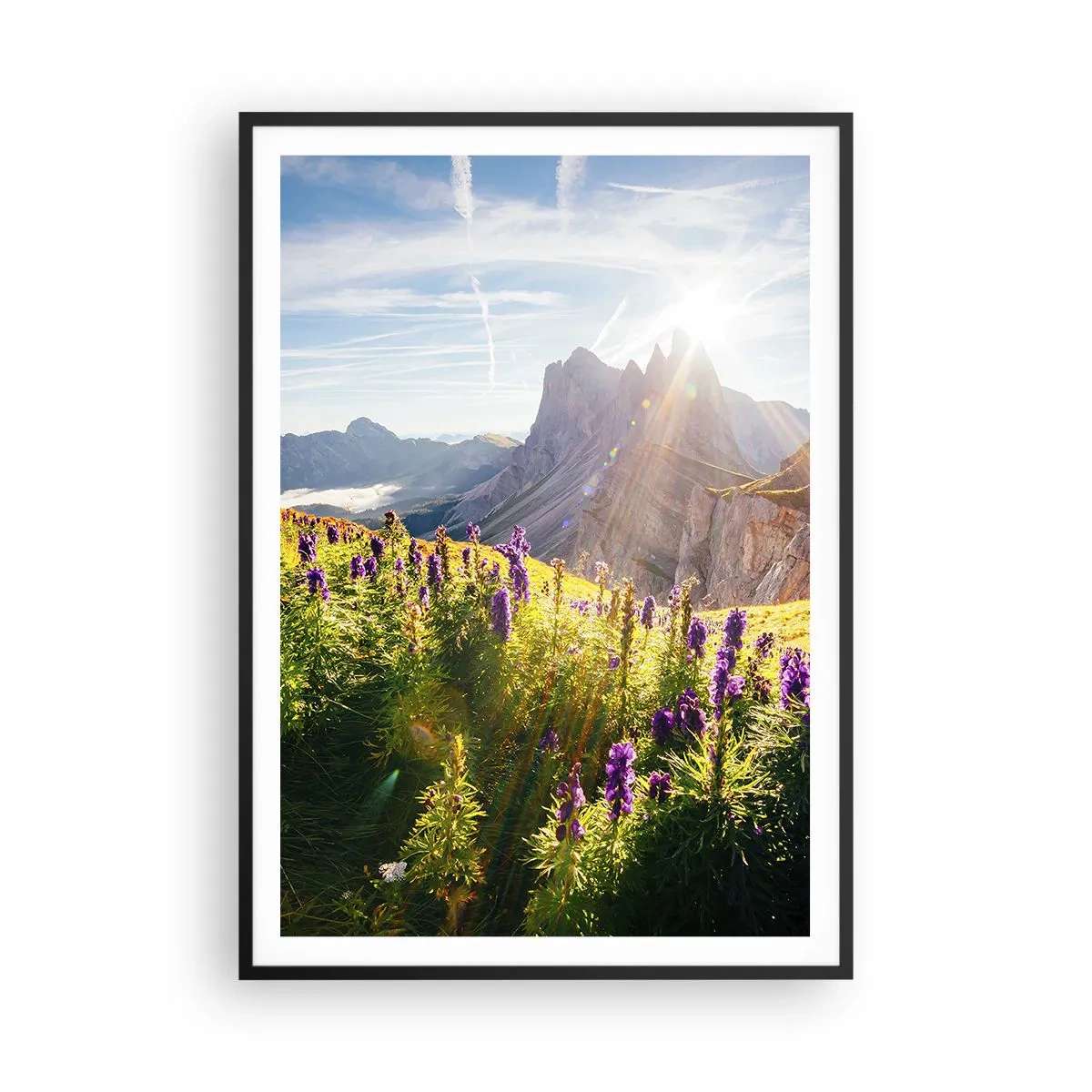 Affisch i svart ram - Örternas hemliga liv - 70x100 cm