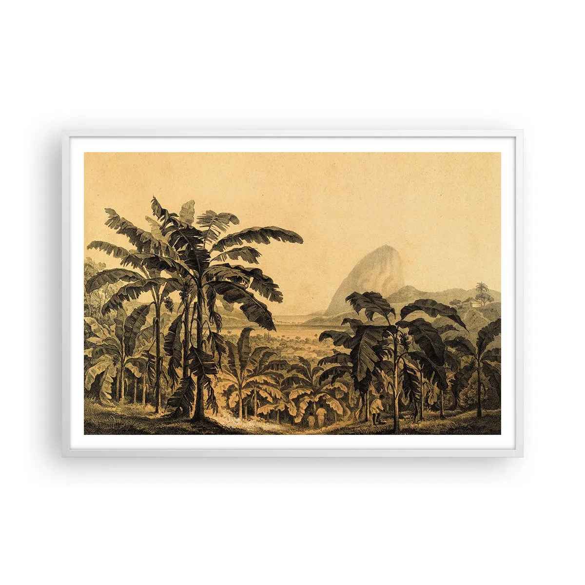 Affisch i vit ram - I kolonial stämning - 100x70 cm
