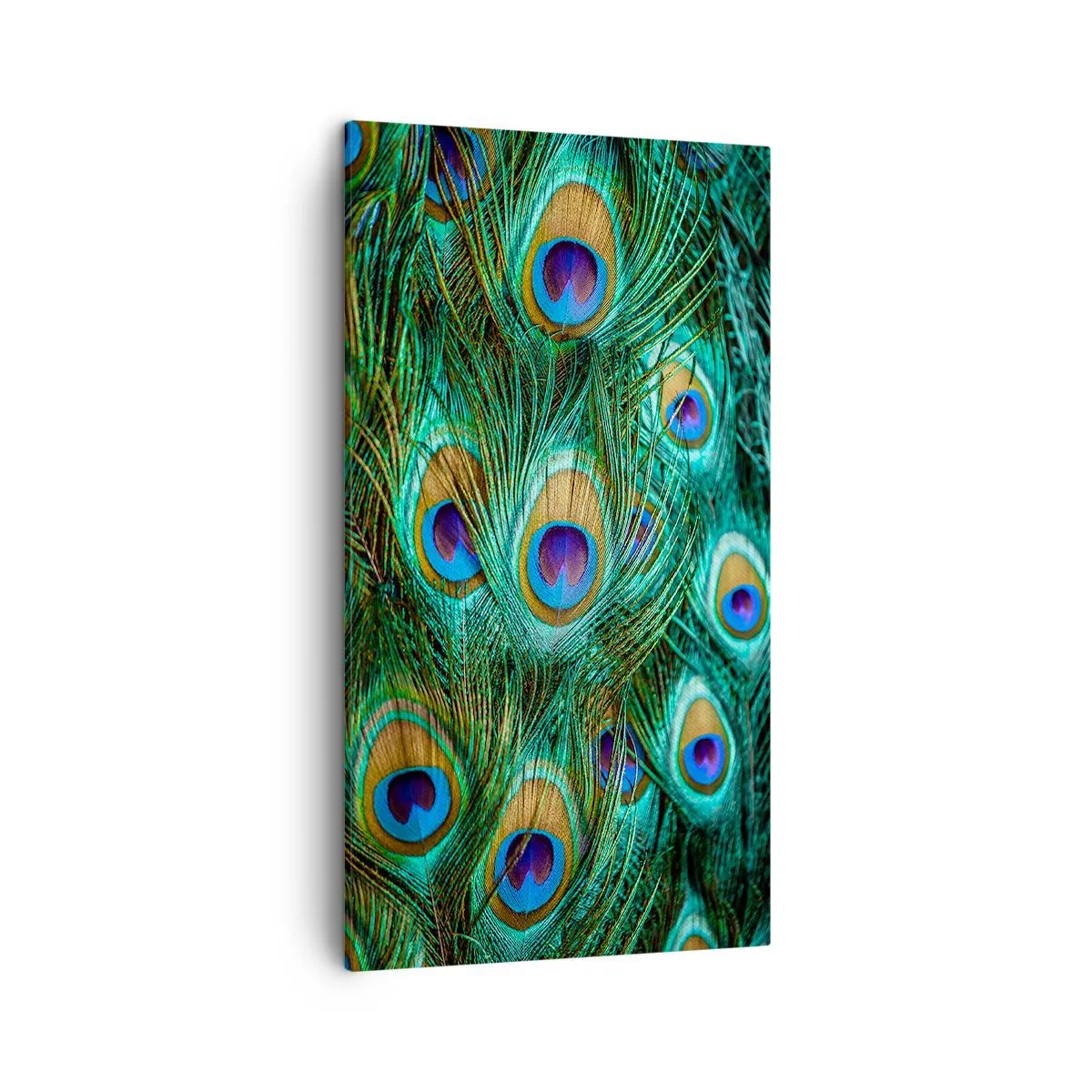 Canvastavla - Bild på duk - Påfågels blick - 45x80 cm