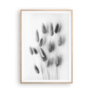 Affisch i ram av ljusek - Fluffigt gräs - 70x100 cm