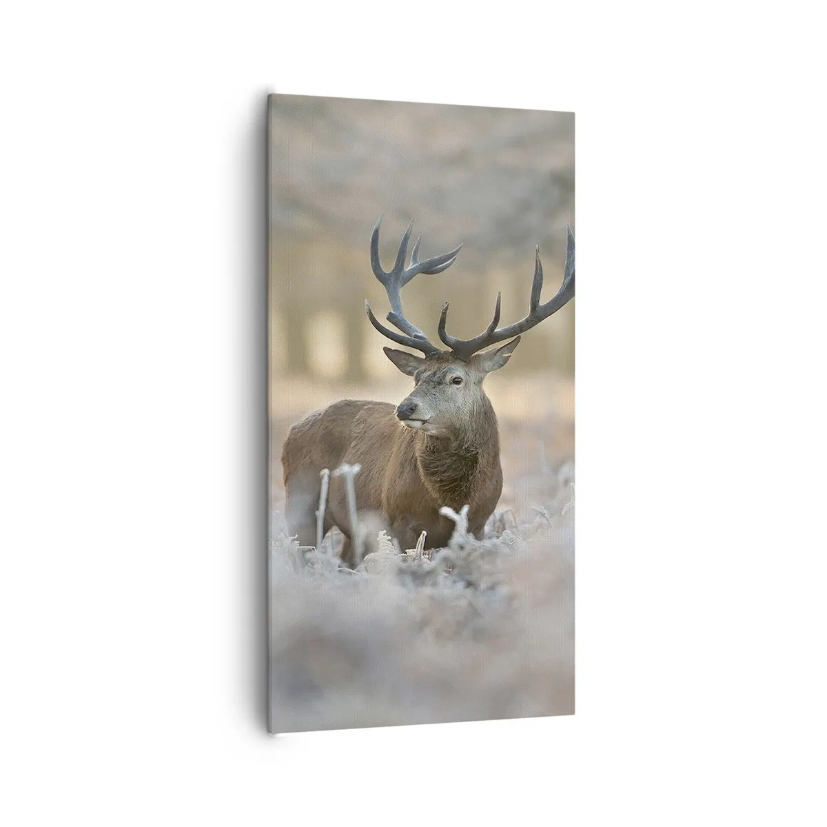 Canvastavla - Bild på duk - Uppfriskande morgon - 65x120 cm