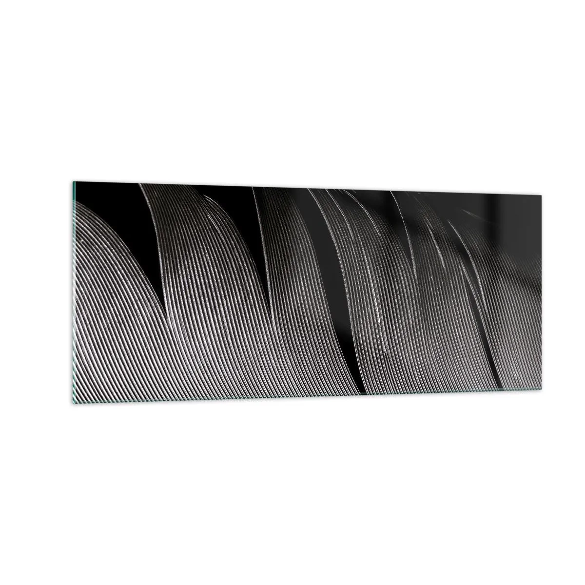 Glastavla - Bild på glas - Fjäder - en underbar konstruktion - 100x40 cm