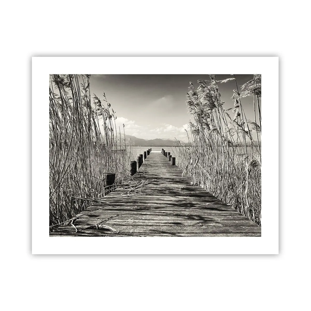 Affisch - I gräsets fristad - 50x40 cm