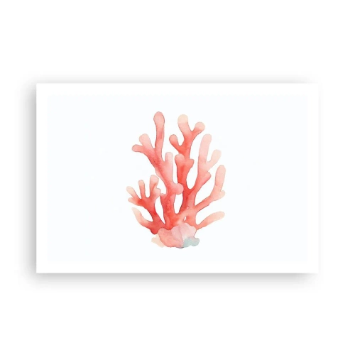 Affisch - Korallfärgad korall - 91x61 cm