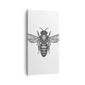 Canvastavla - Bild på duk - Porträtt av en insekt - 65x120 cm