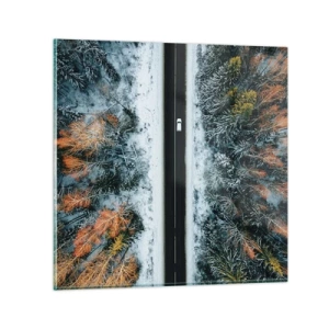 Glastavla - Bild på glas - Genom vinterskogen - 50x50 cm