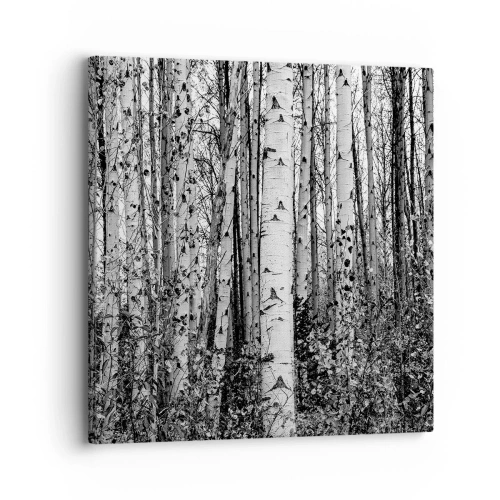 Canvastavla - Bild på duk - Björkpelargång - 30x30 cm