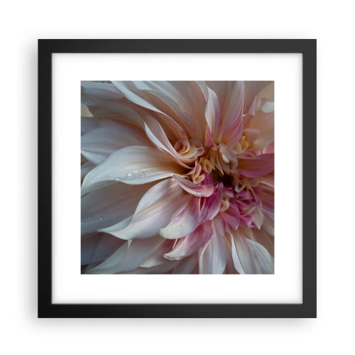 Affisch i svart ram - Blommande friskhet - 30x30 cm