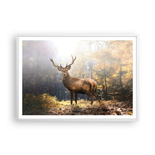 Affisch i vit ram - I fullt majestät - 100x70 cm