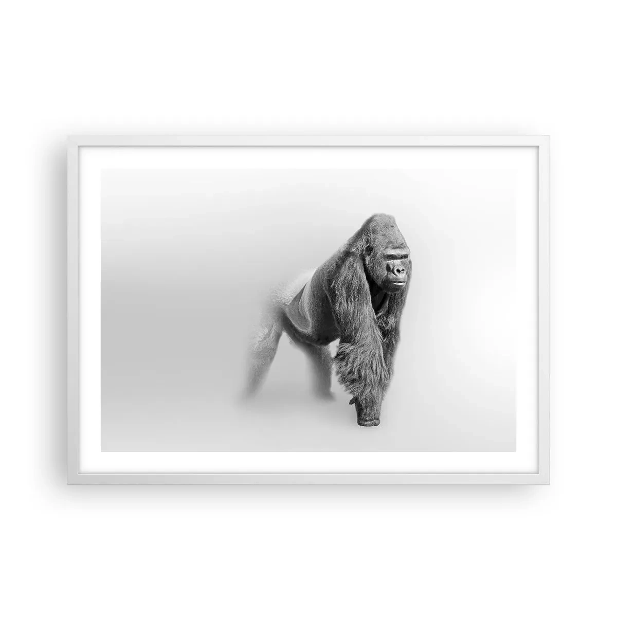 Affisch i vit ram - Övertygad om sin styrka - 70x50 cm