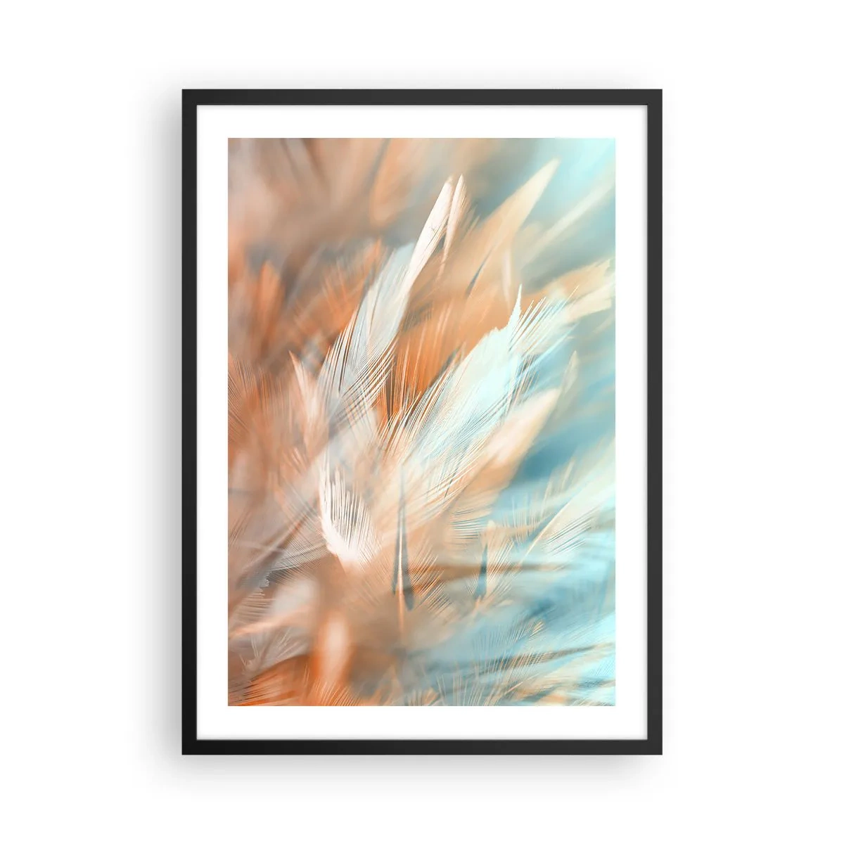 Affisch i svart ram - Fina fjädrar i nyanser av blått och persika - 50x70cm - I mildhetens land - Modern väggdekoration för vardagsrum och sovrum ARTTOR