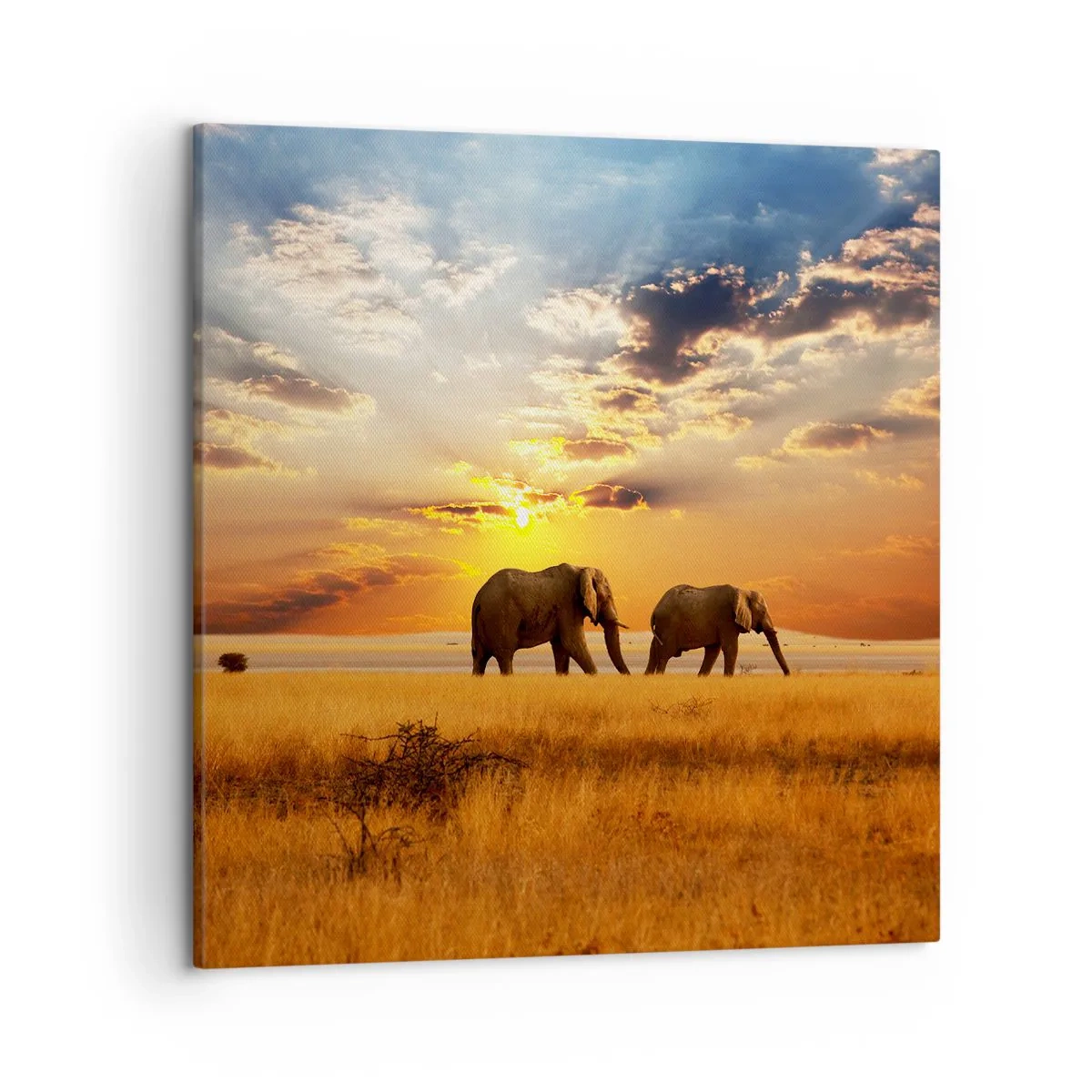 Canvastavla - Bild på duk - Familjepromenad - 50x50 cm