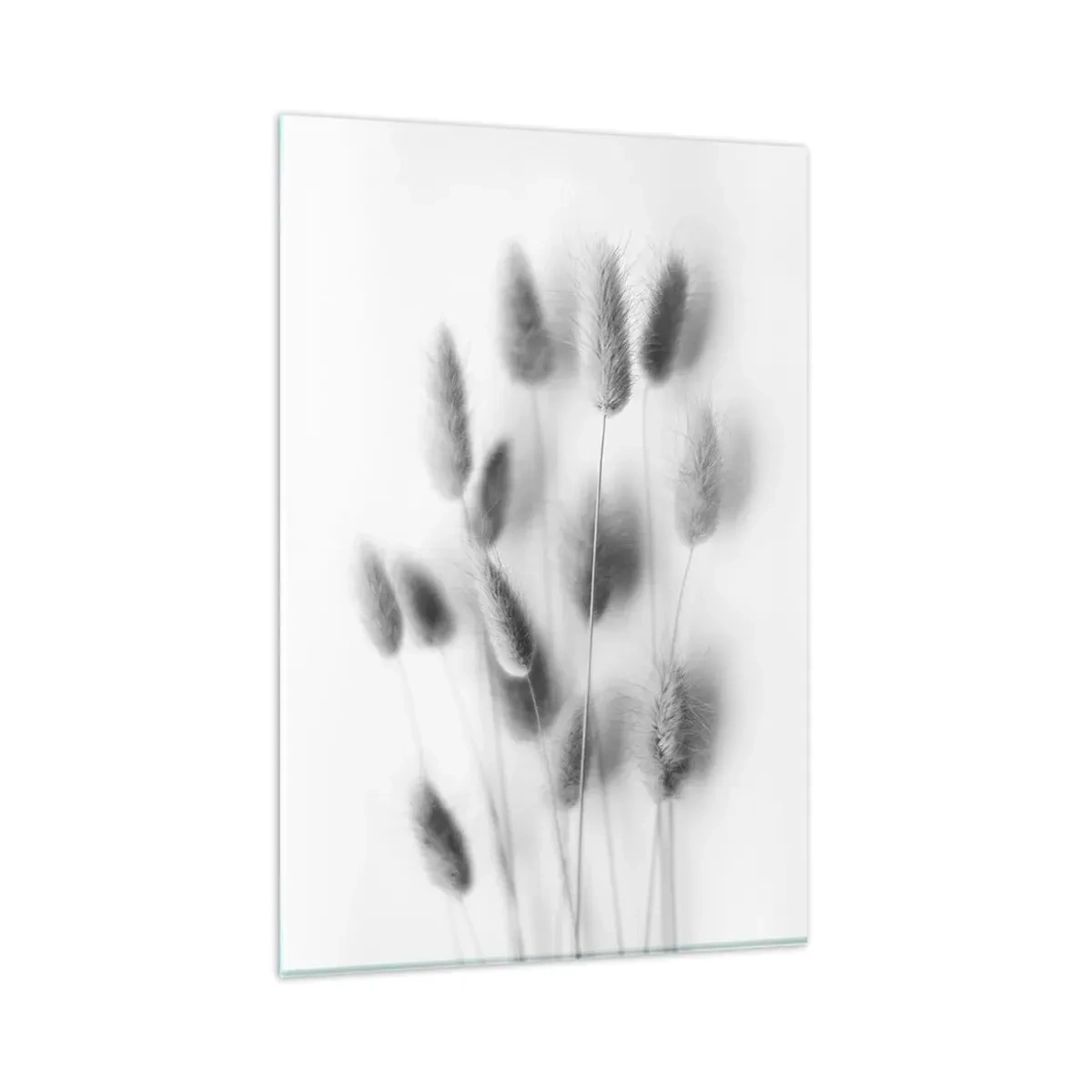 Glastavla - Bild på glas - Fluffigt gräs - 80x120 cm