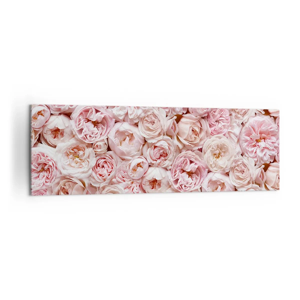 Canvastavla - Bild på duk - Strödd med rosor - 160x50 cm